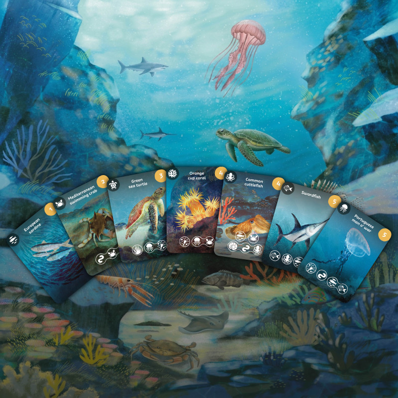 Biodio: Build Your Own Marine Ecosystem Friday (sk)