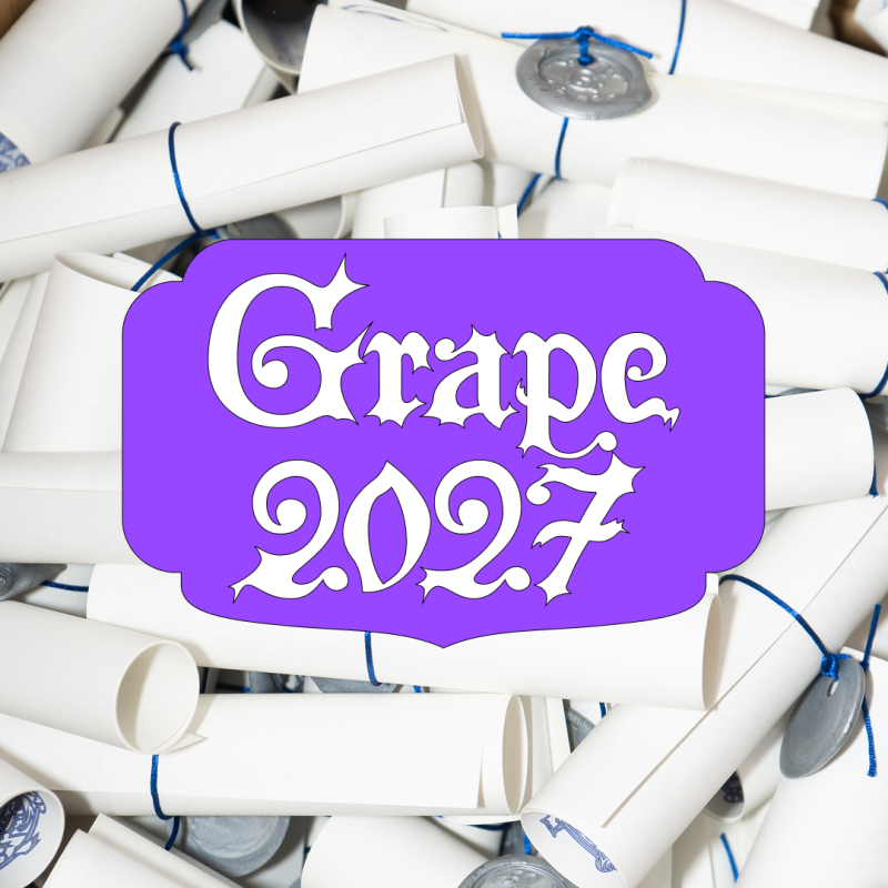 Grape festival 2027 